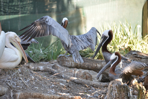 World of Birds Wildlife Sanctuary.